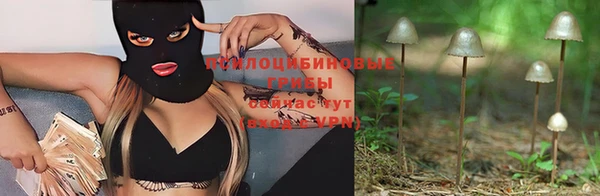 марки nbome Алзамай